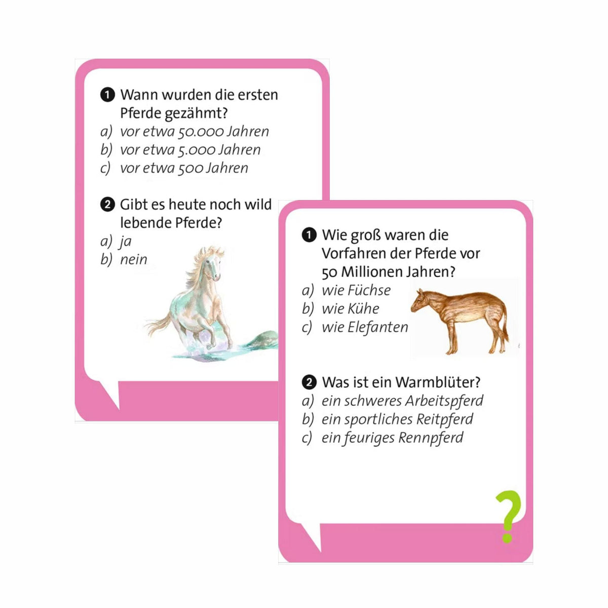 Pocket Quiz Junior Pferde (Spiel)