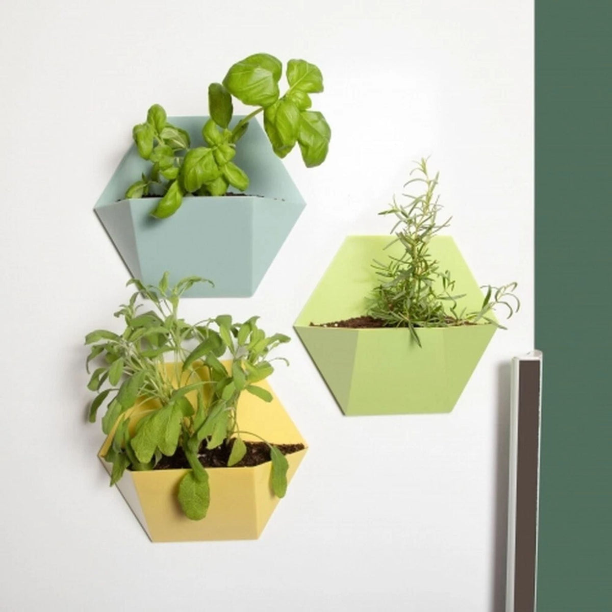 ThumbsUp! Blumentopf magnetisch (3er Set) blau/gelb/grün
