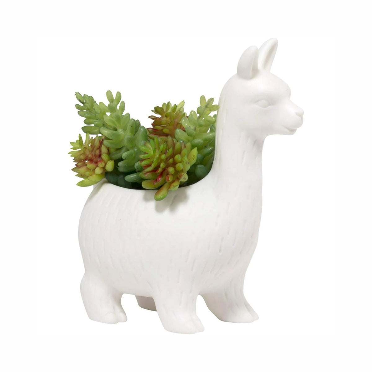 Kikkerland Lloyd Lama Blumentopf