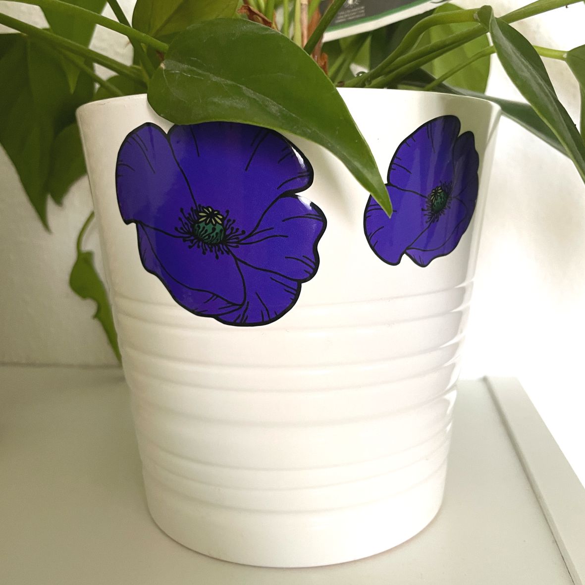 Mohnblumen Aufkleber Set - FOTOFOL