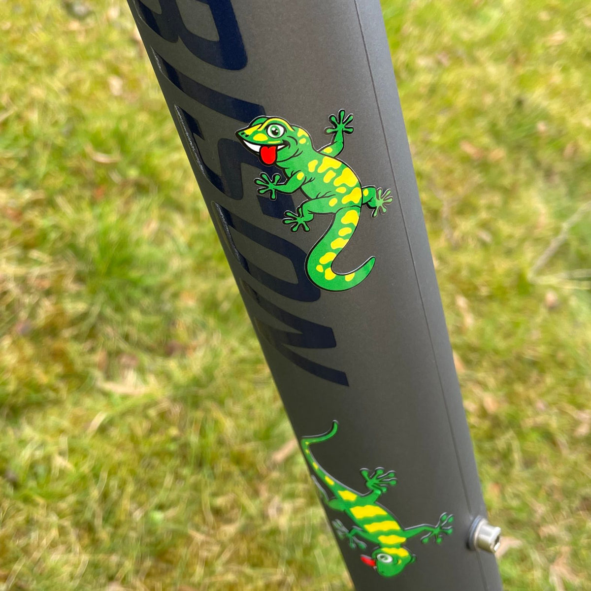 Gecko Fahrradaufkleber Set - FOTOFOL