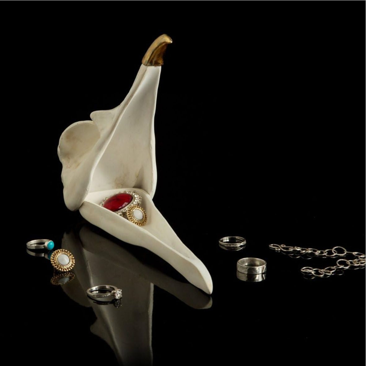 Suck UK | Schmuckbox  - BIRD SKULL